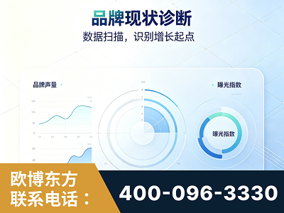 介休-品牌现状诊断