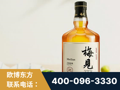 介休-梅见青梅酒